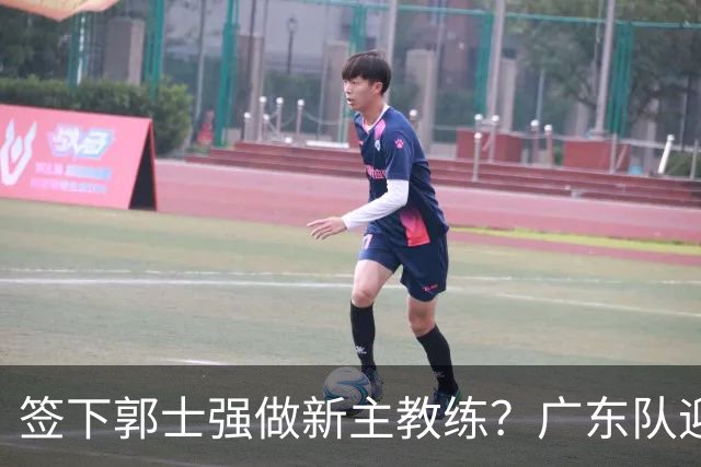 签下郭士强做新主教练？广东队迎来换帅机会，杜锋有望执教国家队
