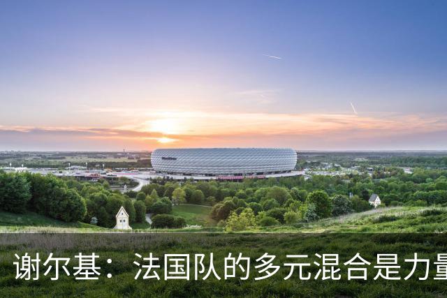 谢尔基：法国队的多元混合是力量所在 希望借世界杯团结人们